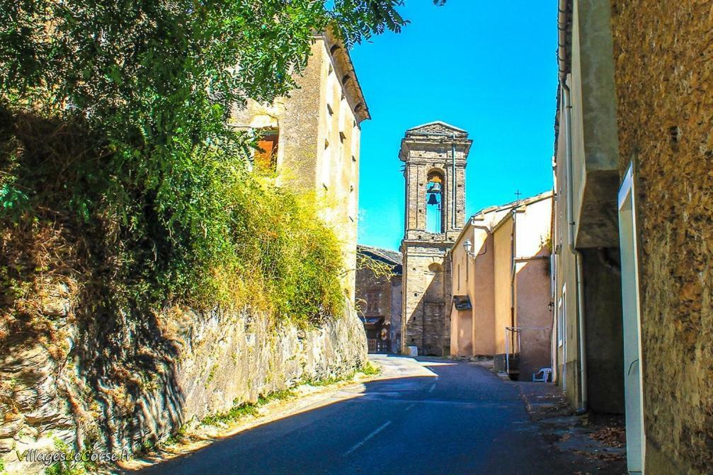Stazzona 9 Rue De La Traverse المظهر الخارجي الصورة